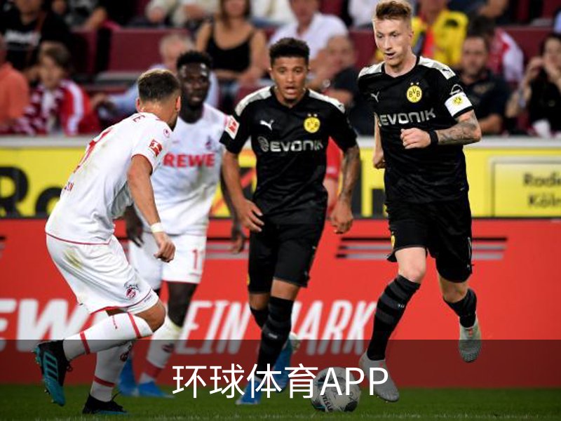 环球体育APP简介